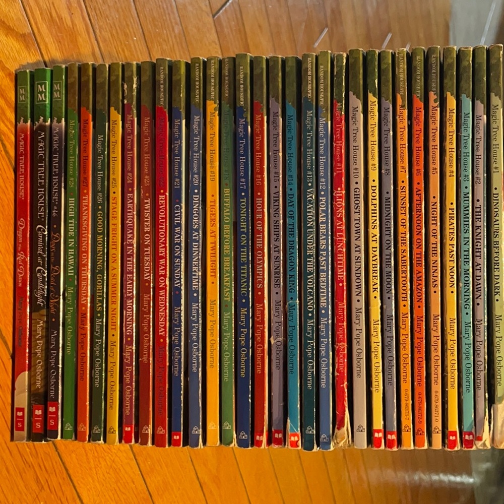 Lot of 28 magic treehouse books